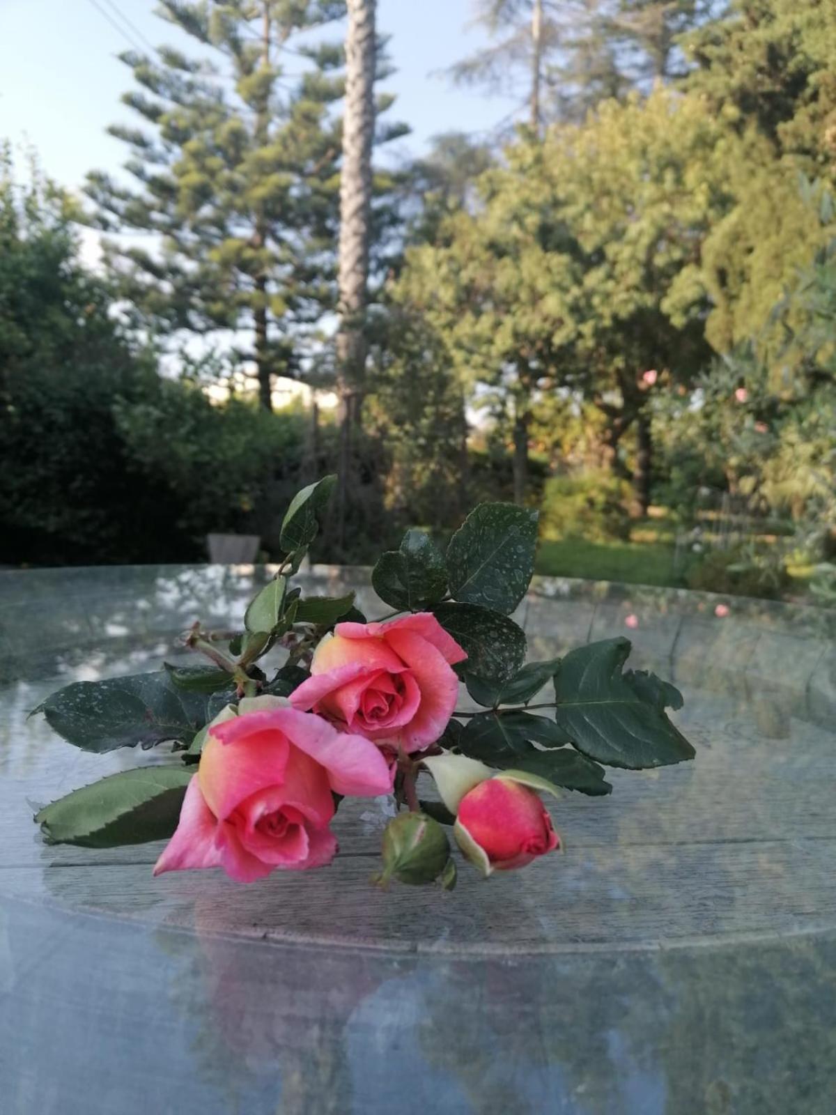 Voscenza Benerica Villa Vittoria Buitenkant foto
